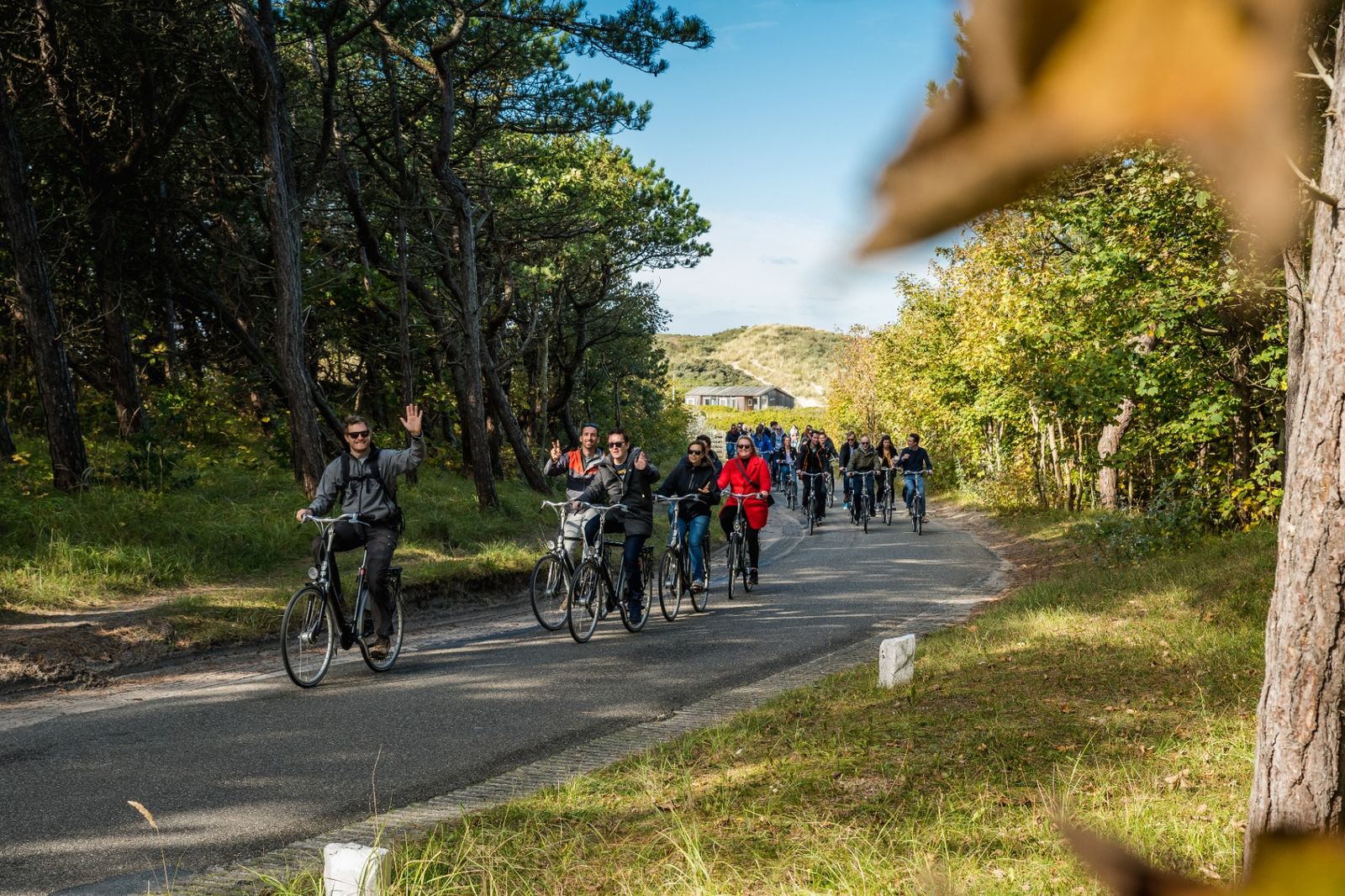 Fietsers op een pad door de duinen van Vlieland