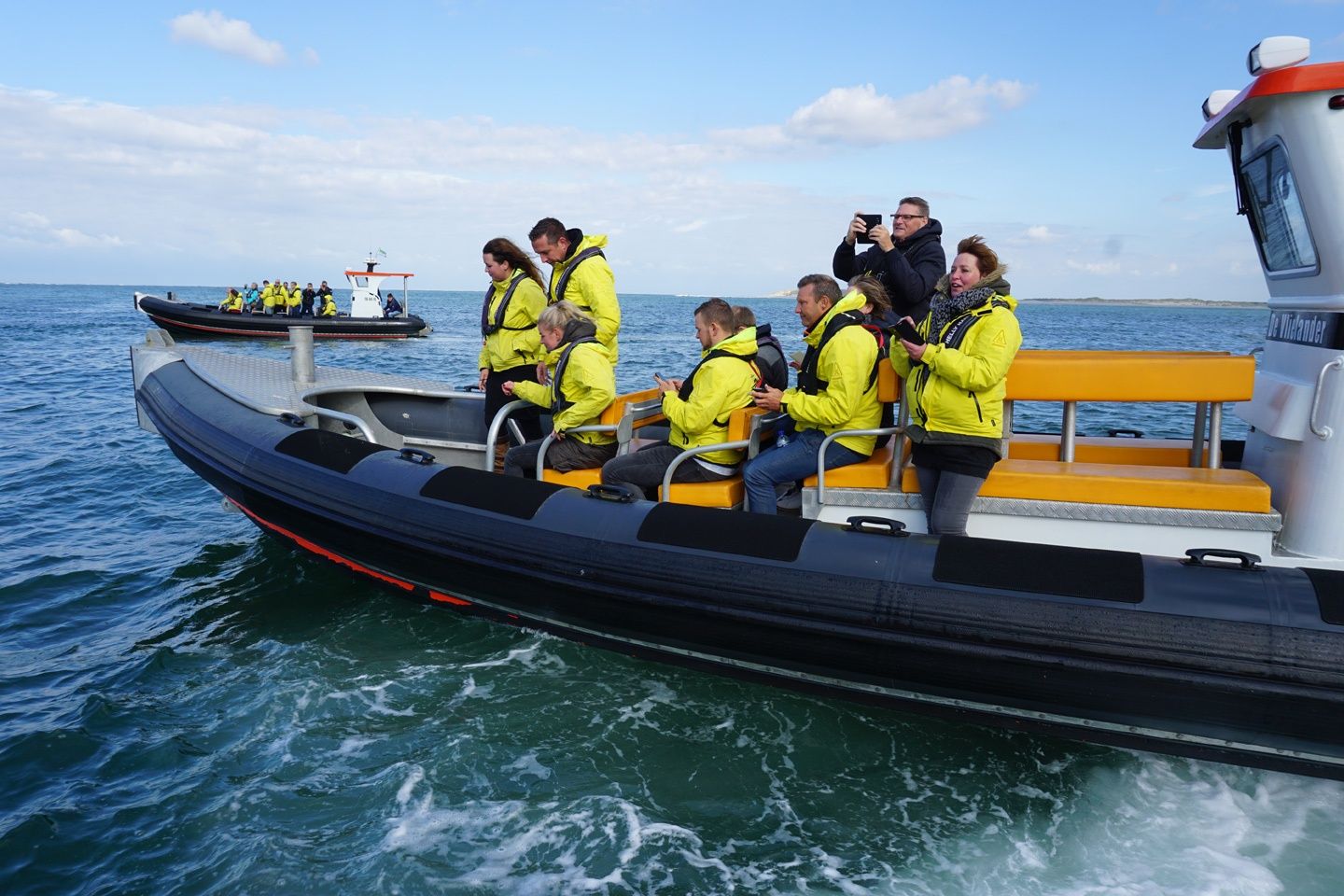 Zeehonden op een zandbank vanaf een boot bij Vlieland